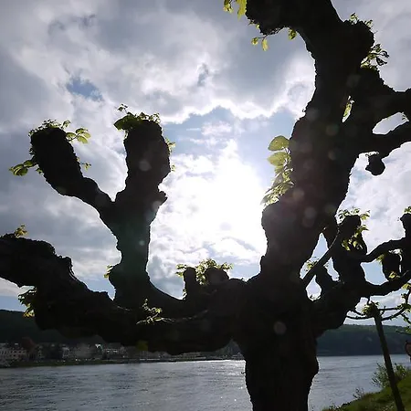 ピンガー ホテル