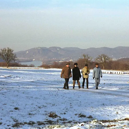 Pinger Hotel Remagen