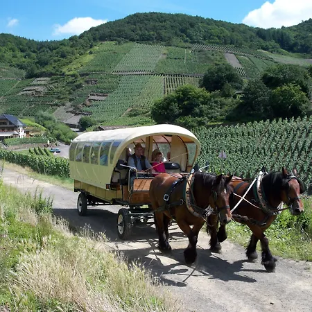 ホテル ピンガー レマーゲン