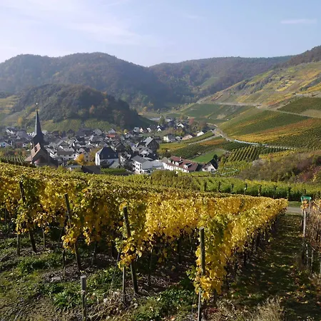 ピンガー レマーゲン