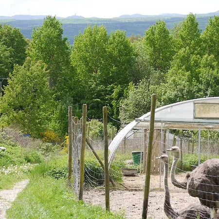 ピンガー ホテル