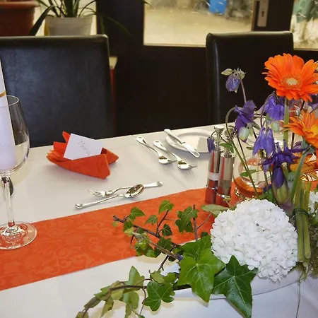 ピンガー ホテル 3*