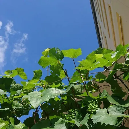 ピンガー 3* レマーゲン