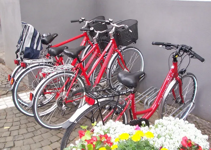 Pinger Hotel Remagen