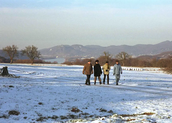 Pinger Hotel Remagen