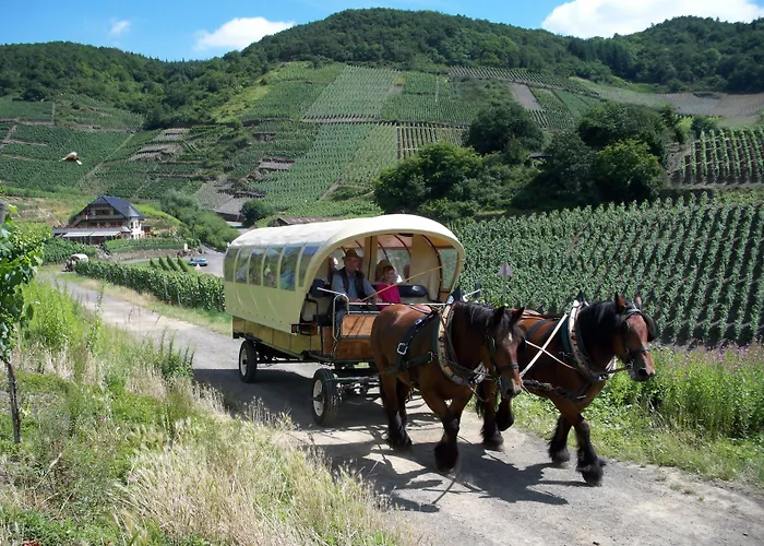 فندق Pinger ريماجين