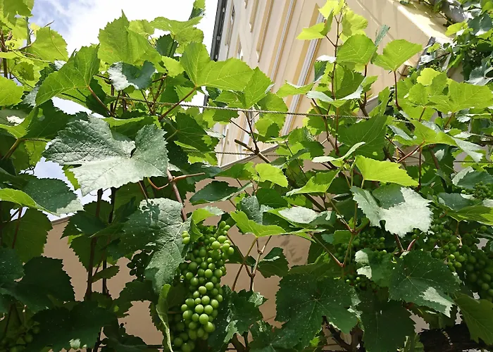 Pinger Hotel Remagen