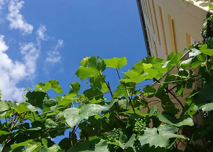 Pinger 3* ريماجين